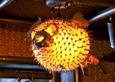 A close up view of a lantern created from a puffer fish - one of many lanterns suspended from the Mai-Kai ceilings.